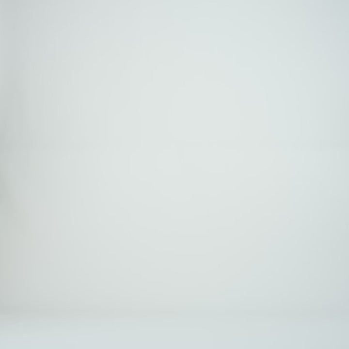 Long Mesh Sleeve Top